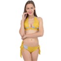 Hexagons Yellow Honeycomb Hive Bee Hive Pattern Tie It Up Bikini Set View1