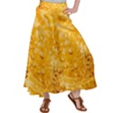 Water Satin Palazzo Pants View1