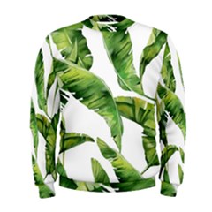 Sheets Tropical Plant Palm Summer Exotic Men s Sweatshirt by artworkshop