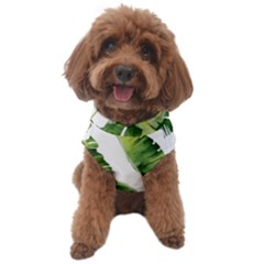 Sheets Tropical Plant Palm Summer Exotic Dog Sweater