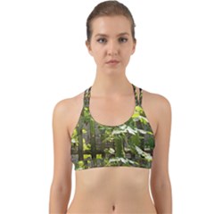 Bitter Melon Back Web Sports Bra