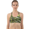 Bitter Melon Back Web Sports Bra View1