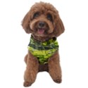 Bitter Melon Dog Sweater View1