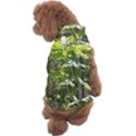 Bitter Melon Dog Sweater View2
