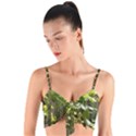 Bitter Melon Woven Tie Front Bralet View1