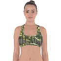 Bitter Melon Cross Back Hipster Bikini Top  View1
