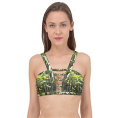 Bitter Melon Cage Up Bikini Top