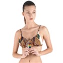 Lion Rastafari Tie Up Cut Bikini Top View1