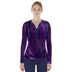 Feather V-neck Long Sleeve Top