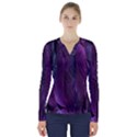 Feather V-Neck Long Sleeve Top View1