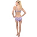 Hackers Town Void Mantis Hexagon Bigender Pride Flag Layered Top Bikini Set View2