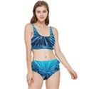 Background-structure-lines Frilly Bikini Set View1