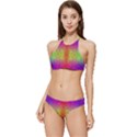 Mirrored Energy Banded Triangle Bikini Set View1