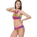 Mirrored Energy Banded Triangle Bikini Set View2