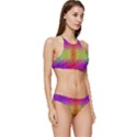 Mirrored Energy Banded Triangle Bikini Set View3