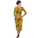 Oranges Slices  Pattern Quarter Sleeve Midi Velour Bodycon Dress View2