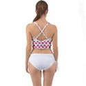 Illustration Watermelon Fruit-food Melon Mini Tank Bikini Top View2