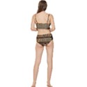 Books Bookcase Old Books Historical Frilly Bikini Set View2