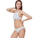 Illustration Marble Texture Marble Painting Banded Triangle Bikini Set View2
