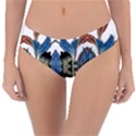 IM Fourth Dimension Colour 60 Reversible Classic Bikini Bottoms View1