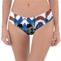 IM Fourth Dimension Colour 60 Reversible Classic Bikini Bottoms View3