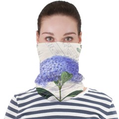 Vintage Shabby Chic Dragonfly Face Seamless Bandana (adult)