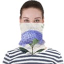 Vintage Shabby Chic Dragonfly Face Seamless Bandana (Adult) View1