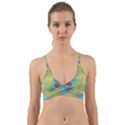 Ellipse Pattern Elliptical Abstract Wrap Around Bikini Top View1