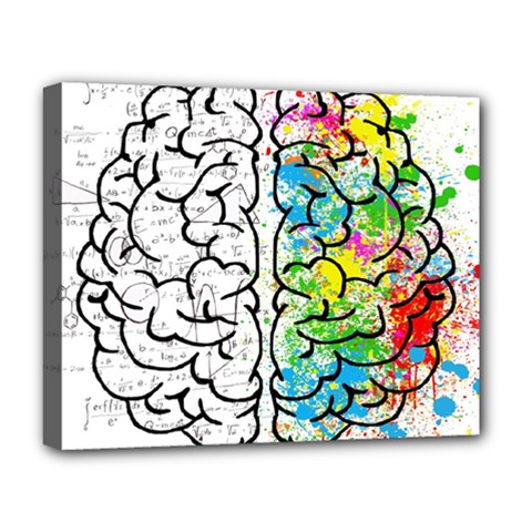 Brain Mind Psychology Idea Drawing Deluxe Canvas 20  X 16  (stretched) by Wegoenart