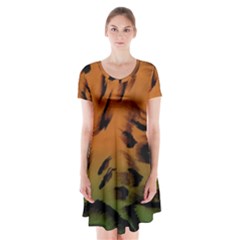 Background-011 Short Sleeve V-neck Flare Dress