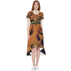 Background-011 High Low Boho Dress