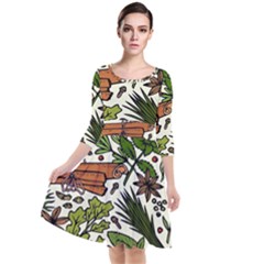 Background-033 Quarter Sleeve Waist Band Dress