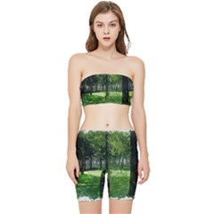 Beeches Trees Tree Lawn Forest Nature Stretch Shorts And Tube Top Set