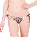Brain Think Neurons Circuit Bikini Bottom View1