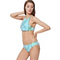 Background-marble-set Banded Triangle Bikini Set View2