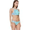 Background-marble-set Banded Triangle Bikini Set View3