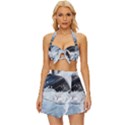 Gray Washing Machine Illustration Vintage Style Bikini Top and Skirt Set  View1