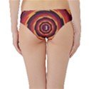 Illustration Door Abstract Concentric Pattern Hipster Bikini Bottoms View2