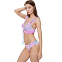 Swimwear Teal Pink Collection Low Cut Ruffle Edge Bikini Set View2