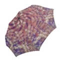 Couds Folding Umbrellas View2