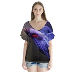 Betta Fish Photo And Wallpaper Cute Betta Fish Pictures V-neck Flutter Sleeve Top by StoreofSuccess