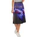 Betta Fish Photo And Wallpaper Cute Betta Fish Pictures Midi Panel Skirt View1