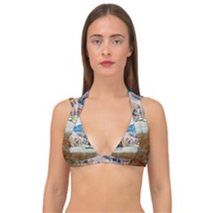 Trentino Alto Adige, Italy  Double Strap Halter Bikini Top
