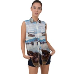 Ducks On Gardasee Sleeveless Chiffon Button Shirt