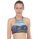 Lake in Italy Racer Front Bikini Top View1