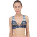 Lake in Italy Classic Banded Bikini Top View1