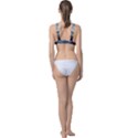 Lake in Italy Classic Banded Bikini Top View2