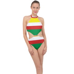 Lubuskie Flag Halter Side Cut Swimsuit