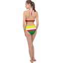 Lubuskie Flag Halter Side Cut Swimsuit View2