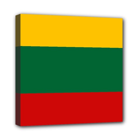 Lithuania Mini Canvas 8  X 8  (stretched)
